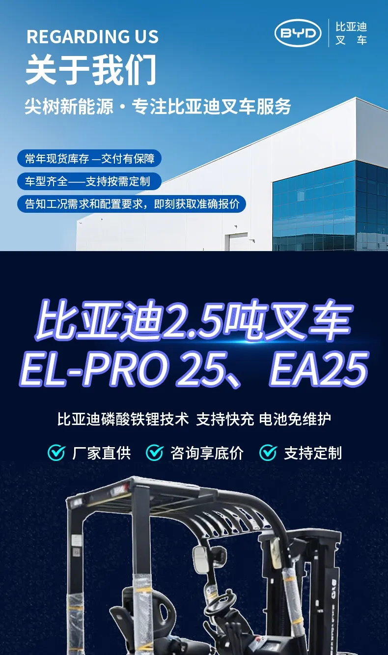 BYD 2.5 ton electric forklift(figure1)