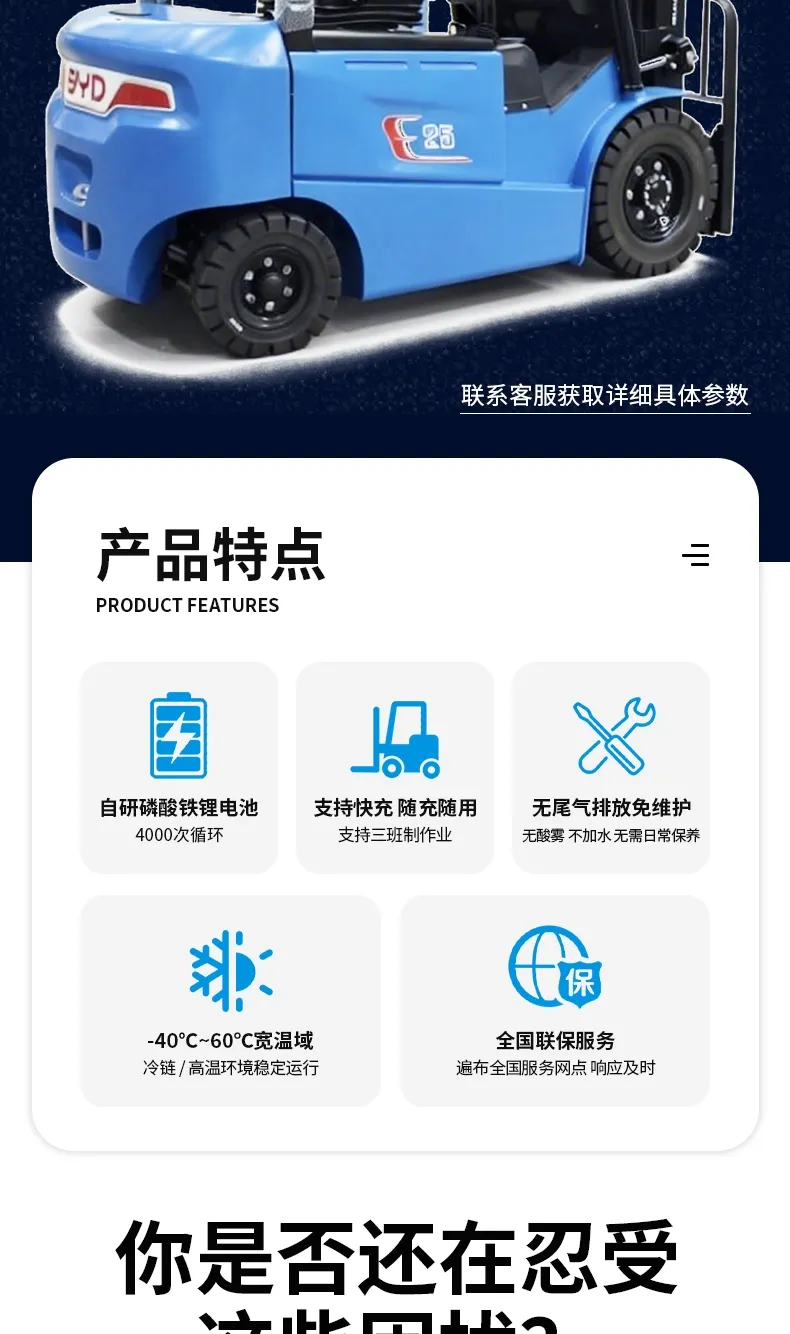 BYD 2.5 ton electric forklift(figure2)