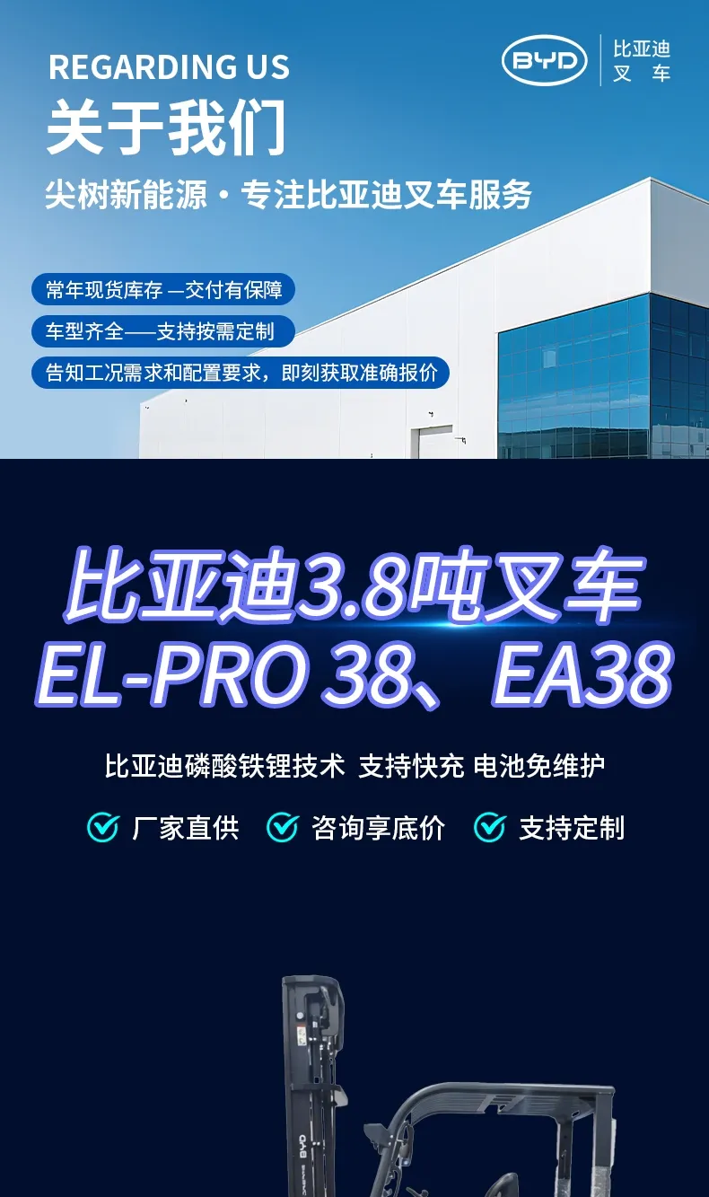 BYD 3.8 ton electric forklift(figure1)