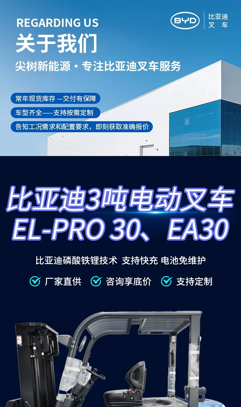 BYD 3-ton electric forklift(figure1)
