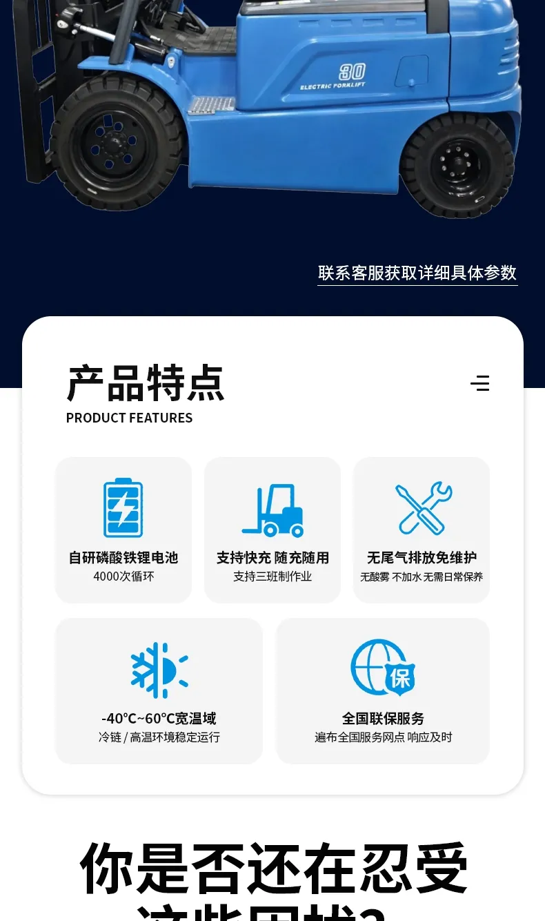 BYD 3-ton electric forklift(figure2)