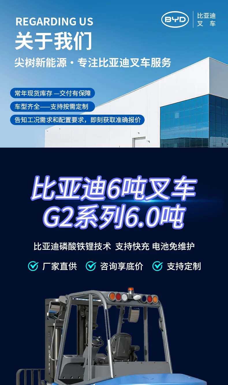 BYD 6-ton electric forklift(figure1)